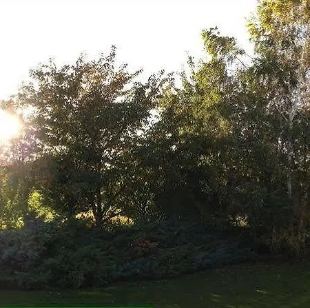 Hotel Miage Charvensod